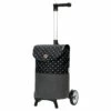 Andersen Unus Shopper Fun Duko - Einkaufstrolley 119 Cm